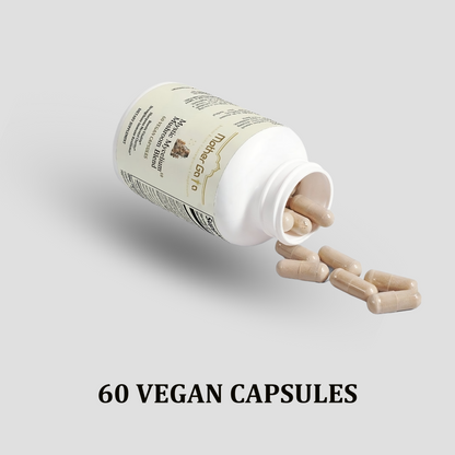 Mystic Mycelium | Blend of Ten Powerful Mushrooms